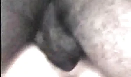 رجل حصل افلام سكس رومانسيه جديده على فتاة ، شعر أشقر ، طويل وعلى الطاولة.